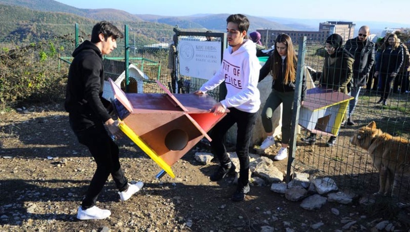 Üniversiteliler, sokak hayvanları için kulübeler yaptı