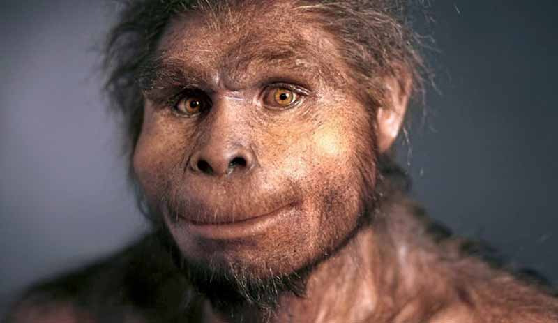 Homo Erectus sanıldığından daha uzun yaşamış