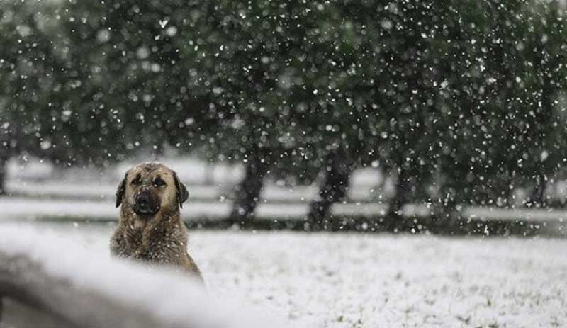 İstanbul'a kar geliyor