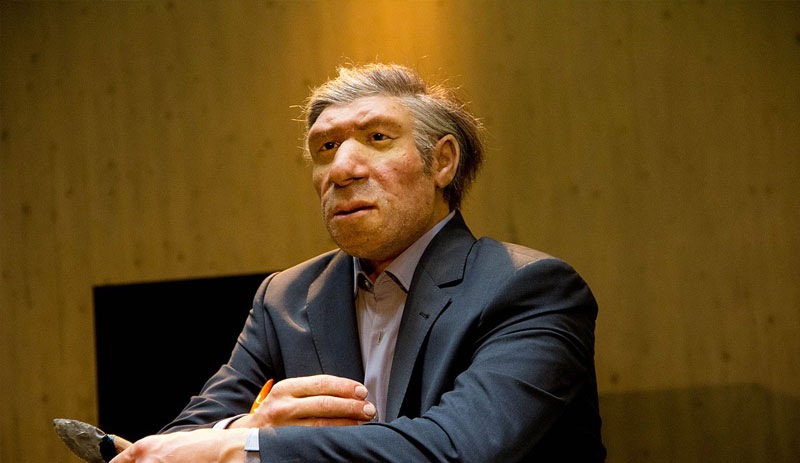 Neandertal DNA'sı, Avrupalılardan Afrikalılara geçti