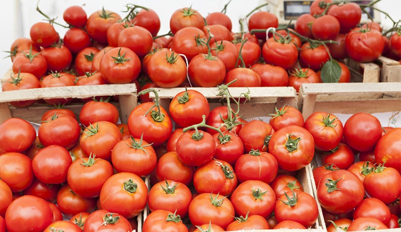 İdlib gerginliği Rusya'ya domates sevkiyatını vurdu