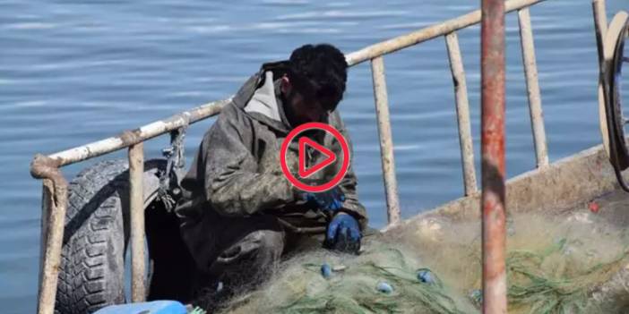 Sadece Van Gölü'nde yaşıyorlar: İnci kefali için üç aylık av yasağı başladı
