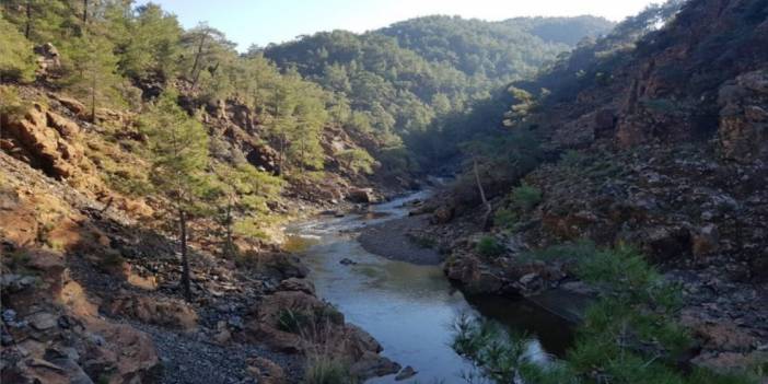 Köyceğiz’de yapılmak istenen Balcılar Barajı’na itiraz edildi: 'Bölgenin doğası ve su kaynakları ciddi şekilde etkilenecek'