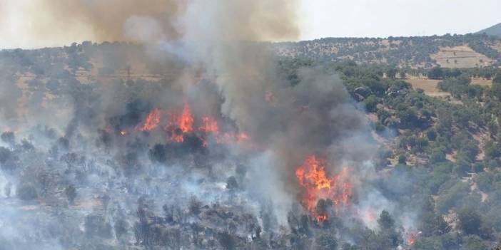 Çanakkale Valiliği'nden orman yangını uyarısı