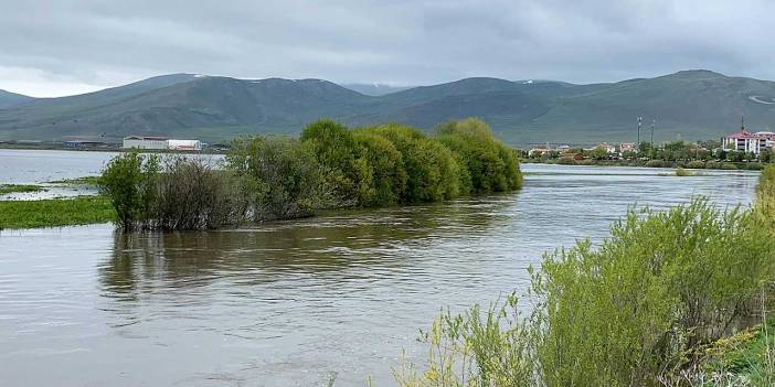 Kura Nehri taştı; Ardahan Ovası göle döndü