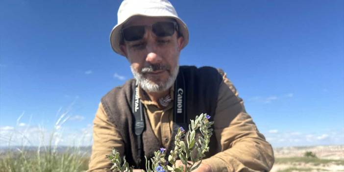 Kapadokya'da endemik tür keşfi: Hacıbektaş adı verildi
