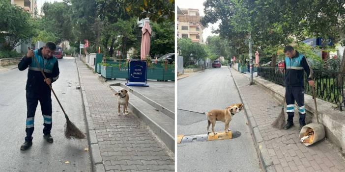 Temizlik işçisinin parkta bulduğu köpek, yanından ayrılmıyor: 'O benim can yoldaşım'