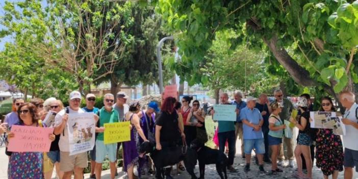 Muğla'da sokak hayvanları için eylem: Yasa tasarısı katliam öngörüyor