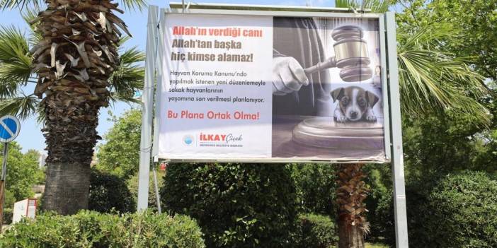 'Uyutma' adı altında sokak köpeklerinin katledilmesi hazırlığına billboardlu tepki