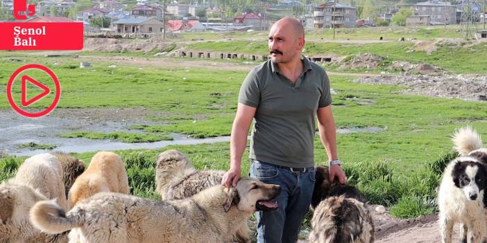 Ömrünü sokakta yaşayan köpeklere adadı: 'Her şeyin nedeni sevgisizlik, katletmeyi vicdan kabul etmez'