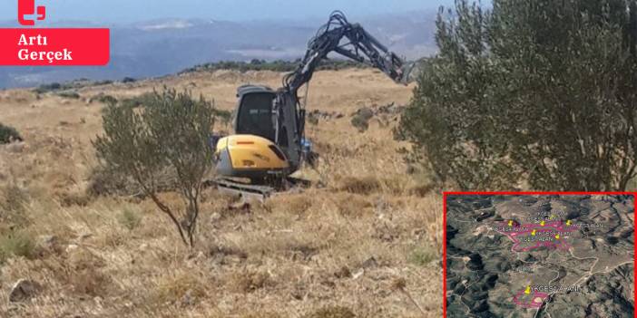 Karaburun'da mahkeme kararına rağmen GES'e onay: 25 bin zeytin ağacı tehlikede