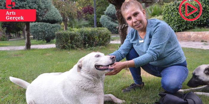 Hayatını sokak hayvanlarına adayan Fatoş Tekbaş: Öldürmelerine izin vermeyeceğiz