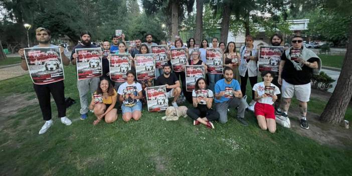 Sokak hayvanlarına yönelik katliam düzenlemesine karşı İstanbul ve İzmir’deki mitinge çağrı