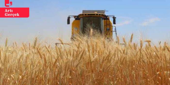 Üreticiler buğday ve arpa için belirlenen taban fiyata tepkili: Maliyeti bile karşılamıyor, bu gidişle çiftçiliği bırakacağız