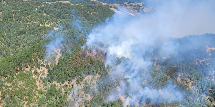 Adana ve İzmir'de orman yangınları