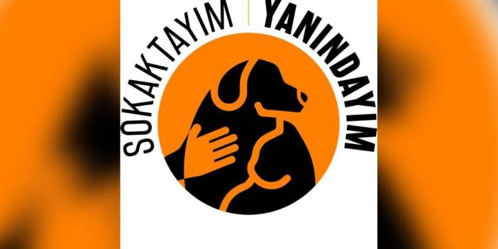 Yaşam için Yasa İnisiyatifi: 'Sokaktayım Yanındayım'