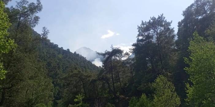 Dersim'de arpa tarlasında yangın: 55 hektar alan zarar gördü