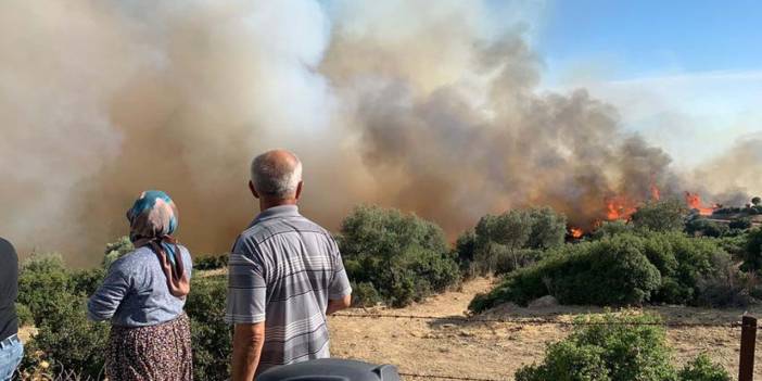 Aydın'da orman yangını: Rüzgarın etkisiyle kısa sürede yayıldı