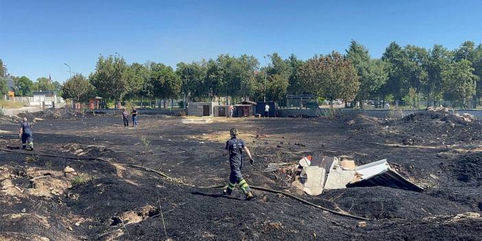 Sokak hayvanları besleme alanında yangın: 30 kulübe yandı