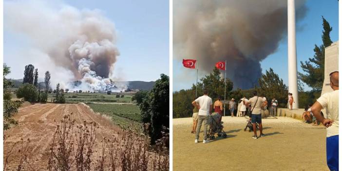 Çanakkale'de orman yangını: Gemi trafiği tek yönlü askıya alındı