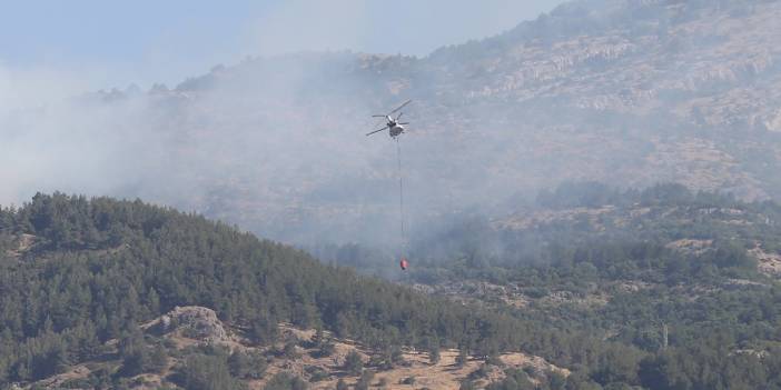 Manisa Spil Dağı'nda çıkan orman yangını kontrol altına alındı