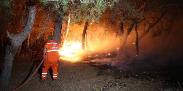 Çanakkale Ayvacık'ta orman yangını: Bir köy boşaltıldı