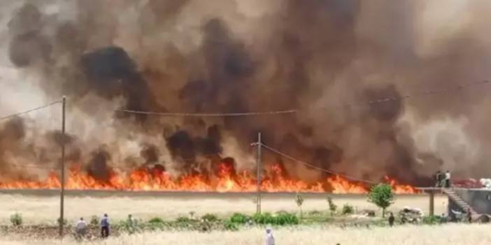 Ergani'de yangın: 420 dönüm ekili buğday yandı