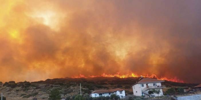 Manisa'daki orman yangını 14,5 saatte kontrol altına alındı