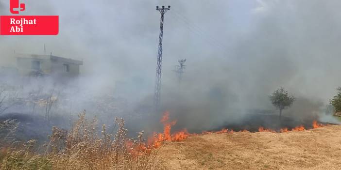 Diyarbakır'ın Çınar ilçesinde tekrar yangın çıktı
