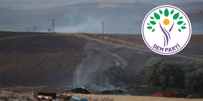 DEM Parti'den Diyarbakır-Mardin yangını için 'afet bölgesi' teklifi