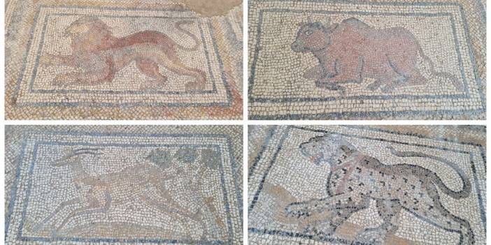 Osmaniye'deki kazılarda Roma dönemi mozaikleri gün yüzüne çıkarılıyor