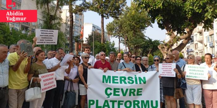 Mersin Çevre Platformu'ndan çağrı: 'Diyarbakır ve Mardin'de yangın alanı afet bölgesi ilan edilsin'