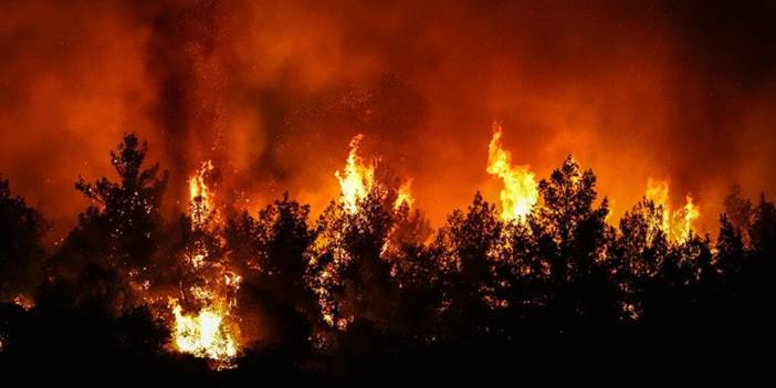 İzmir'de bir günde 18 yangın çıktı, 11'i söndürüldü