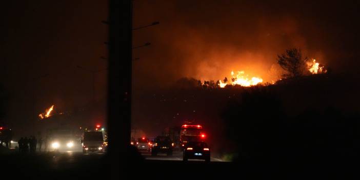 Tarım ve Orman Bakanı Yumaklı: İzmir'de 22, Türkiye genelinde toplamda 44 yangın çıktı