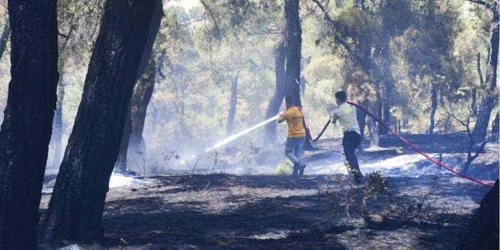 Balıkesir’deki orman yangını, 13 saatte kontrol altına alındı