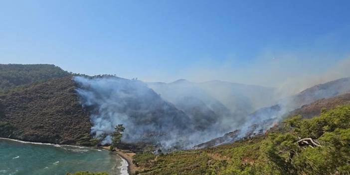 Marmaris'teki orman yangınıyla ilgili gözaltına alınan üç kişi adli kontrolle serbest