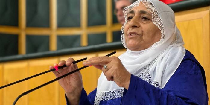 Barış Annesi Meryem Soylu Meclis'te konuştu: Kırk yıldır anneler rahat görmedi, çocuklarıyla sofrada oturamadı