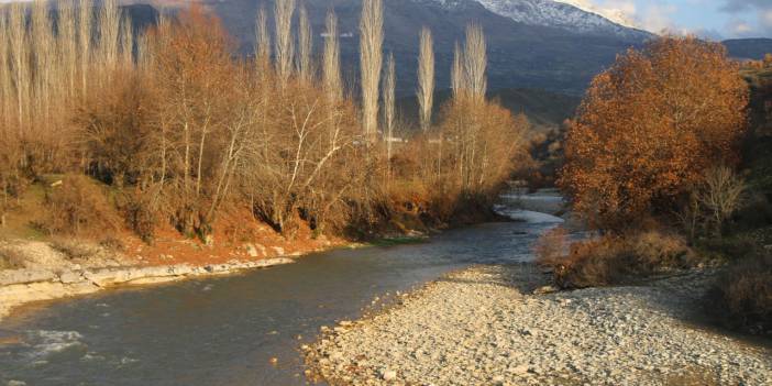 Bilirkişi raporu: Zore Vadisi'ne yapılmak istenen HES, ekosistemde ağır tahribat bırakacak