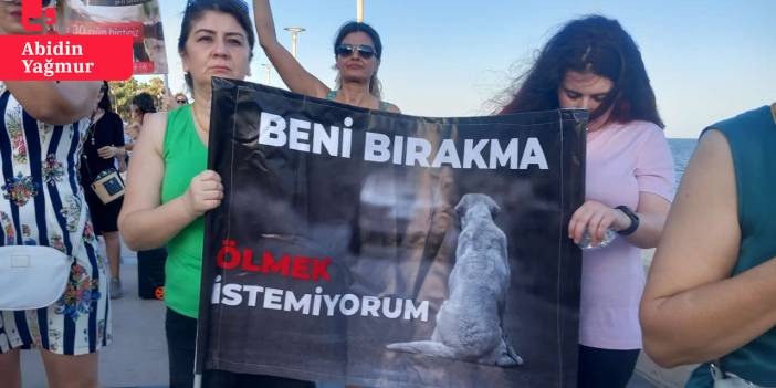 Mersin'de hayvanseverler sokak hayvanları için eylem yaptı: 'Saldırmasın mı istiyorsunuz? O zaman kısırlaştırın'