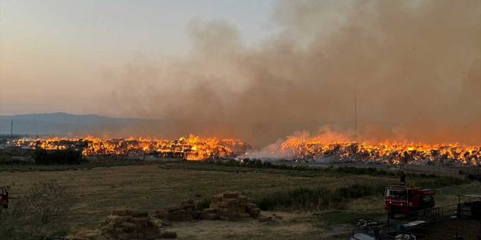 Gece boyu söndürülemedi: Aydın'daki kağıt fabrikasında çıkan yangına müdahale sürüyor