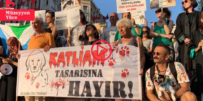 Hayvan hakları savunucularından ‘kanlı yasa’ tepkisi: Asla kabul etmiyoruz