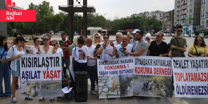 Hayvanseverler Diyarbakır'dan seslendi: 'Kan kokan yasa teklifi geri çekin, sokağımdaki masuma dokunma'