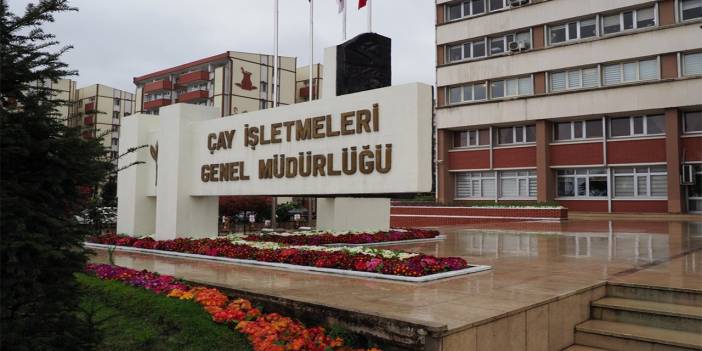 Çaykur, günlük çay alımını tekrar düşürdü: 25 kilo