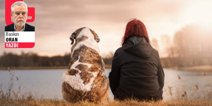 Köpekleri değil insanları uyutmak