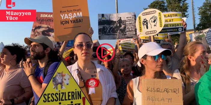 Hayvan hakları savunucuları ‘yaşam zinciri’ oluşturdu: 'Katliama hayır de, yasayı geri çek!'