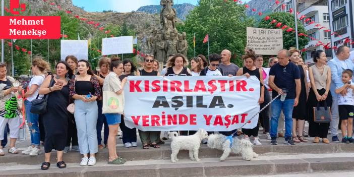 'Katliam Yasası' Amasya'da protesto edildi: 'Hayvanların öldürülmesini asla kabul etmiyoruz'