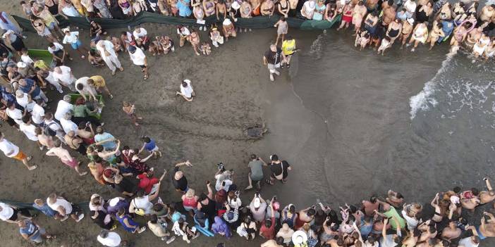 Muğla'da tedavileri tamamlanan caretta carettalar denizle buluştu