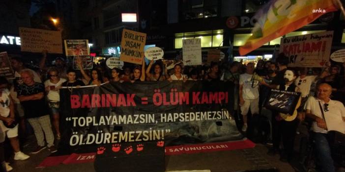 Hayvan hakları savunucularından "ötanazi" protestosu: 'Mecliste onaylansa da uygulanmasına izin vermeyeceğiz'