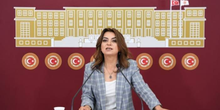 Koçyiğit: Emekliler mücadeleleriyle AKP'nin sonunu getirecek