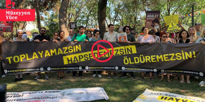 Hayvan hakları savunucuları İstanbul’da eylemde: 'Yasayı sokakta biz yazacağız'